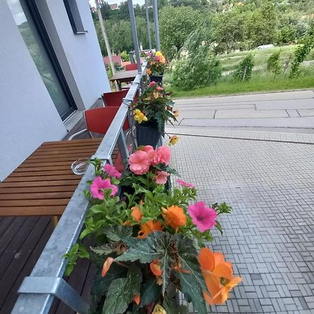 Pension Salma Cesky Krumlov Luaran gambar