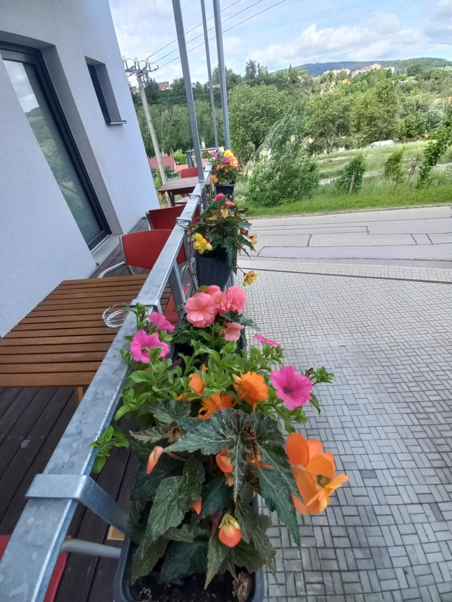 Pension Salma Cesky Krumlov Luaran gambar