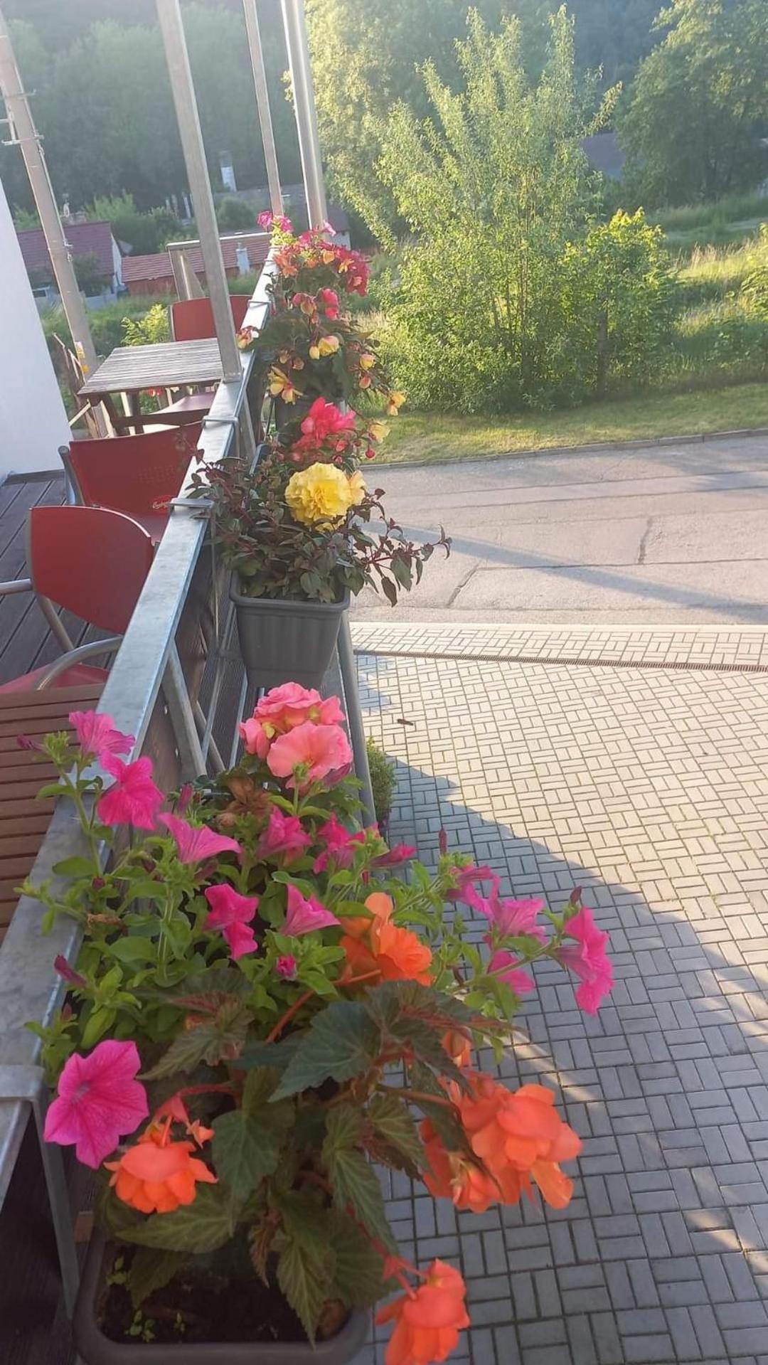Pension Salma Cesky Krumlov Luaran gambar